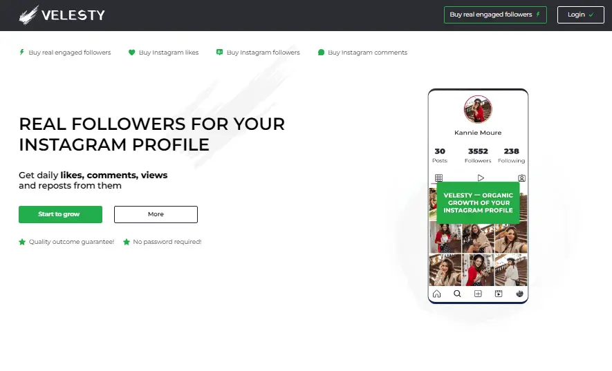 image of velesty another instagram organic growth service